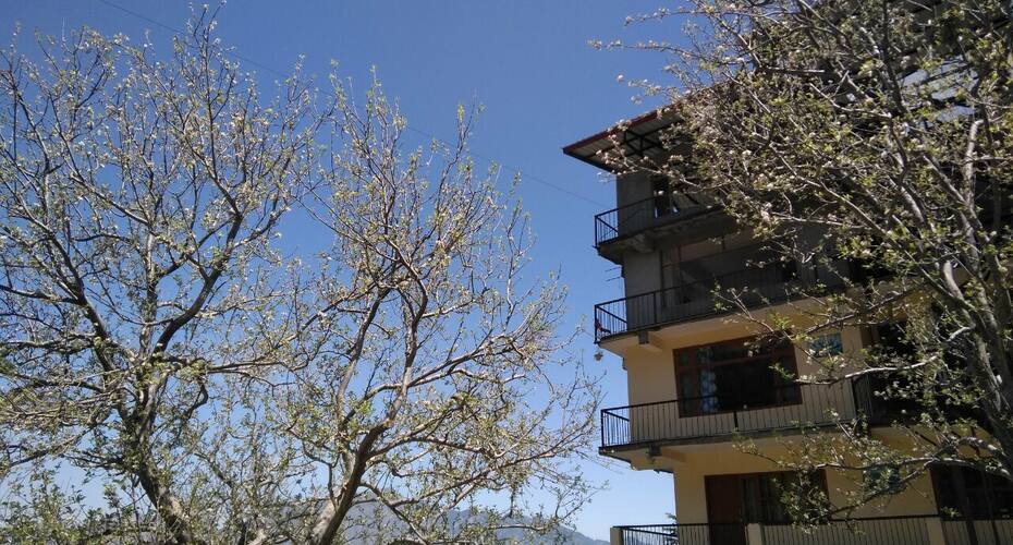 Ridhabhi Home Stay, Shimla 3