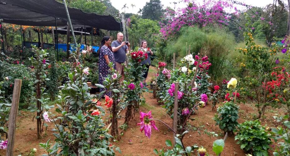FlowerValley - your dream made Homestay @ Munnar, Munnar 4