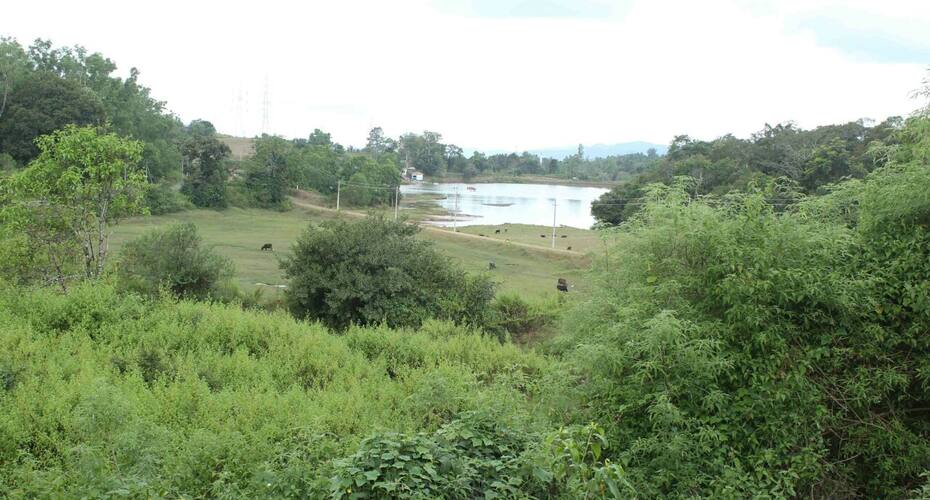 Jog River View Home Stay, Sagar 5