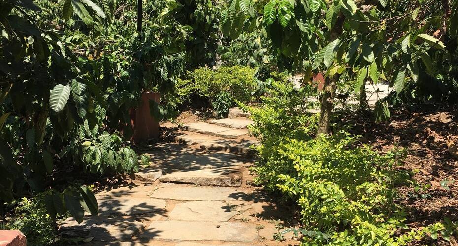 Abbydhama Estate Home Stay, Coorg 5