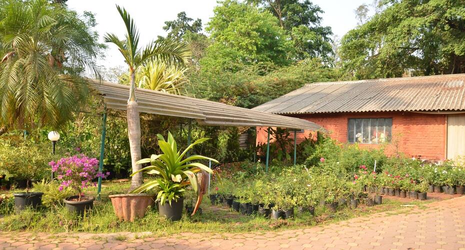 Weekend Nursery and Cottages, Khandala 2
