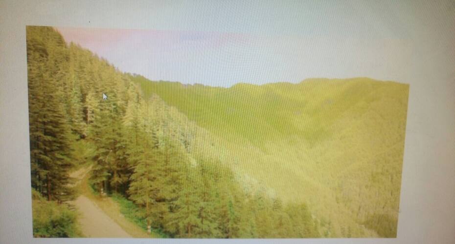Montain View  3bhk apt at quite location, Shimla 5