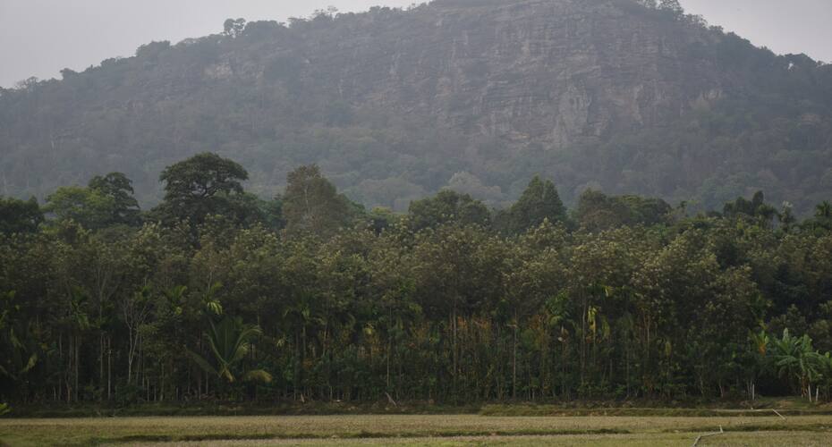 Coorg Habitat (kodagu), Coorg 4