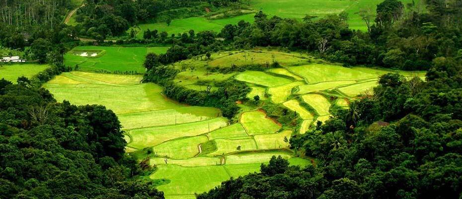 Coorg Habitat (kodagu), Coorg 5