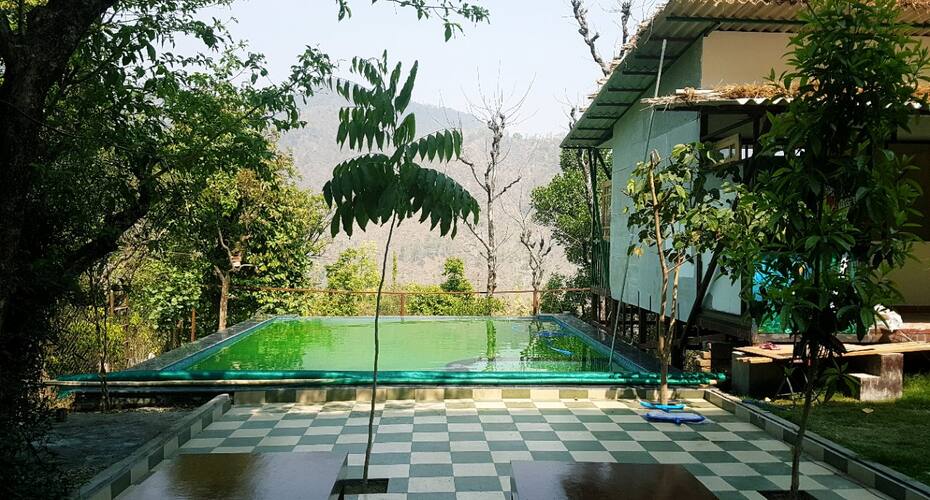 The woods stay ( perfect home stay), Dehradun 3