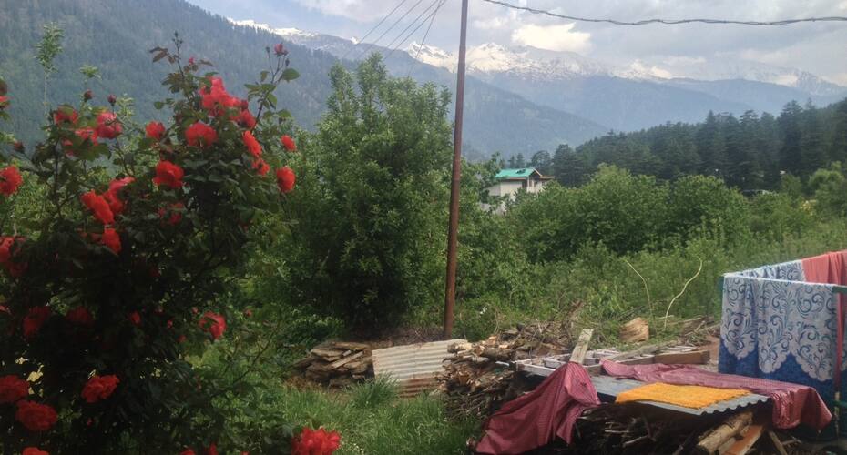 Honey House, Manali 4