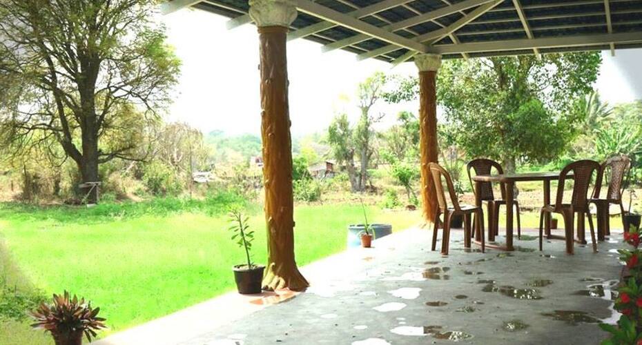 Farmagram Resort, Masinagudi 5