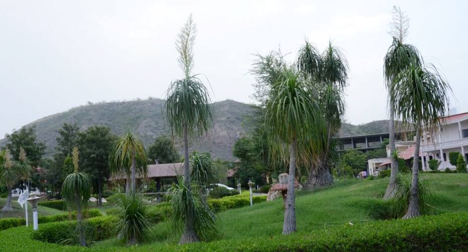 Raj Mahal Resort, Neemrana 5
