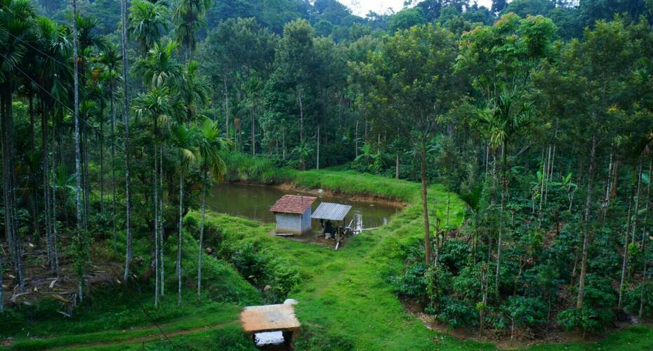 Ever Green Estate Stay, Madikeri 2