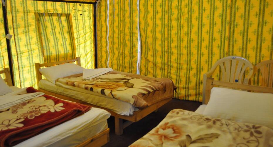 Apple Nubra Cottage, Nubra valley 3