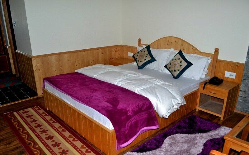 The Explorers Inn, Manali 5