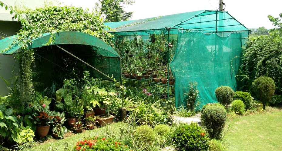 Prabhakar Homestay, Guwahati 4