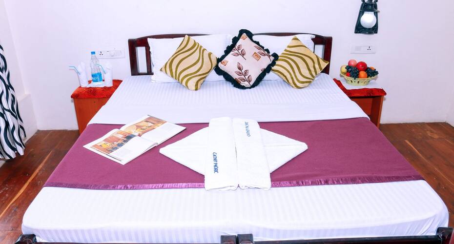 Cathey Pacific Cruise, Alleppey 3