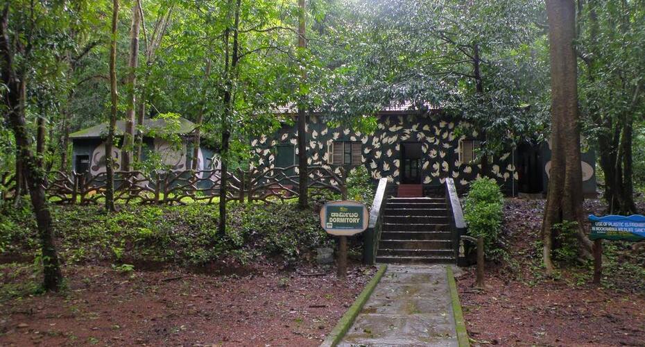 Anejhari Butterfly Camp, Udupi 2