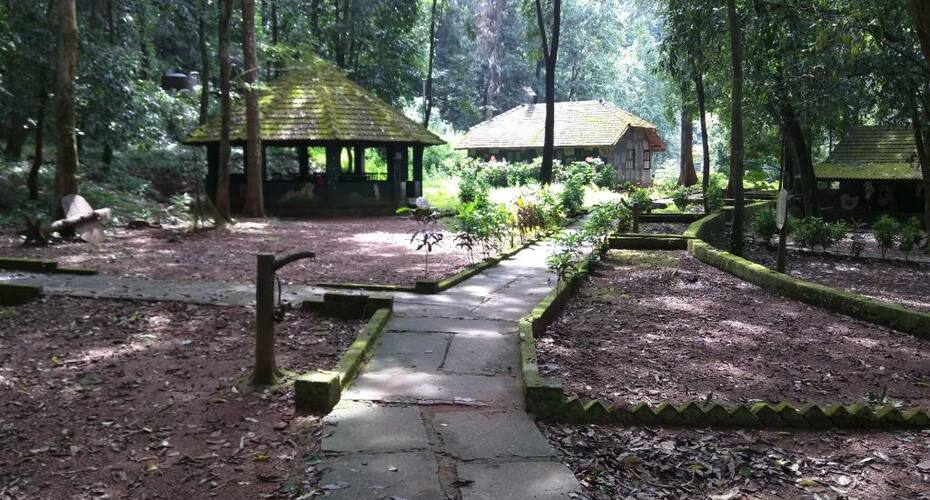 Anejhari Butterfly Camp, Udupi 1