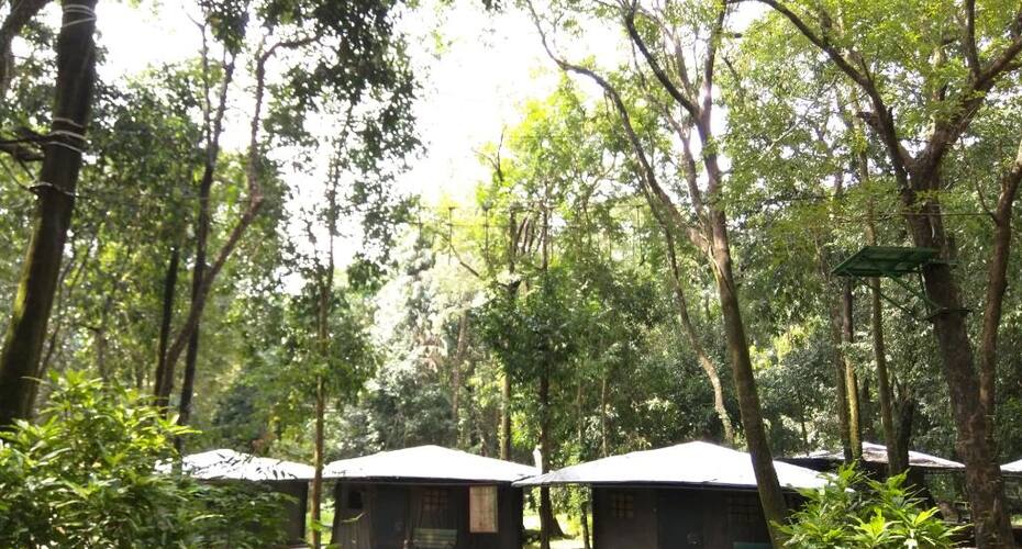 Anejhari Butterfly Camp, Udupi 5