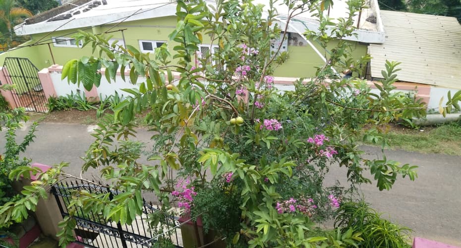 Madhura Home Stay, Madikeri 4