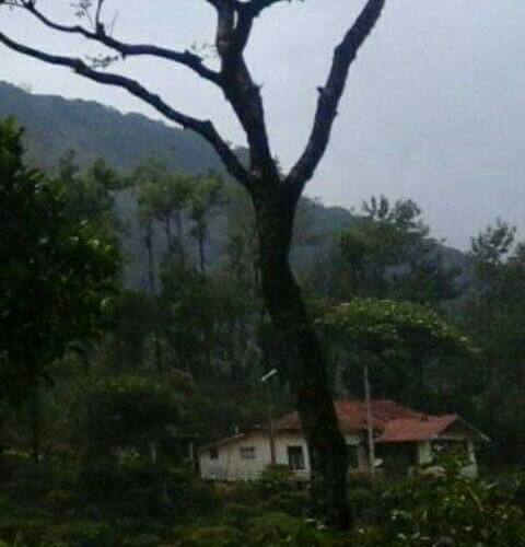 Mysterious Island, Valparai 1