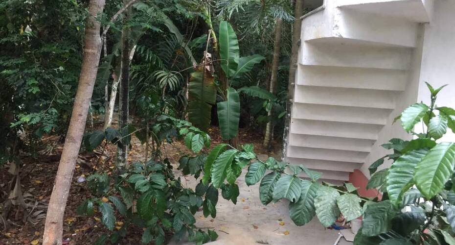 H And S Stays, Madikeri 4