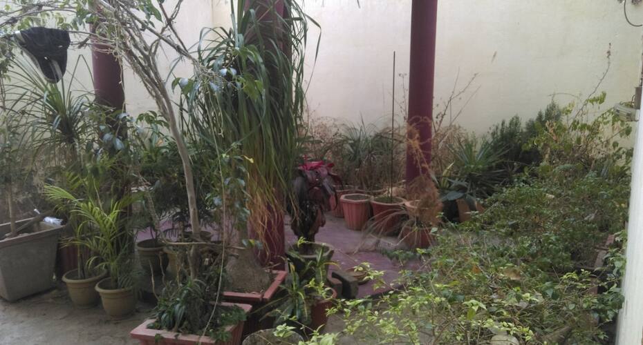 Jash bed and breakfast, Shimla 4
