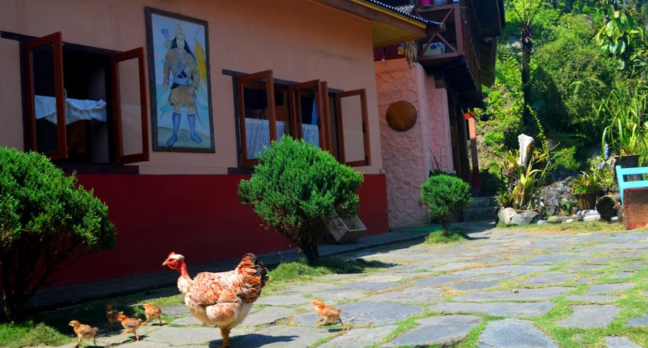 Beautiful cottage in sikkim hills, Gangtok 4