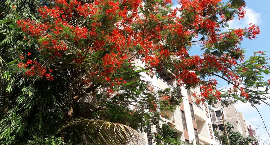 Yesss Homestays Baner Pune, Pune 2
