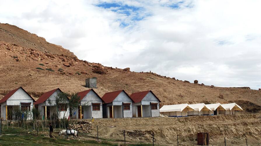 Tsomoriri Camps & Resort, Leh 3