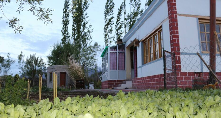 Mountain view homestay, Leh 2