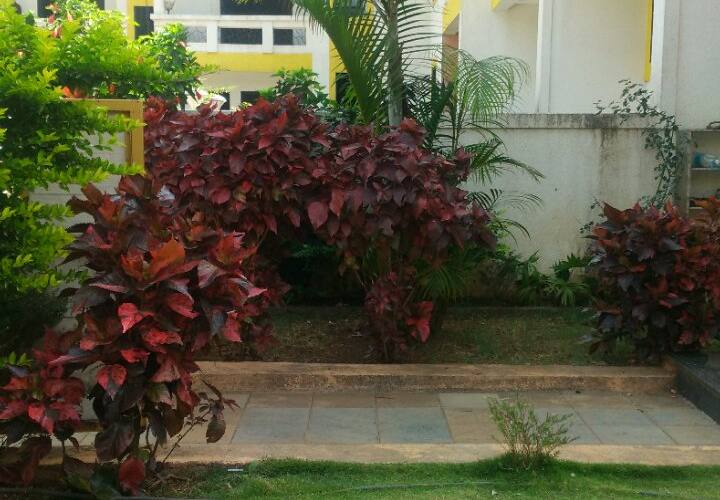 Luxurious 2 BHK with private lawn, Mahabaleshwar 3