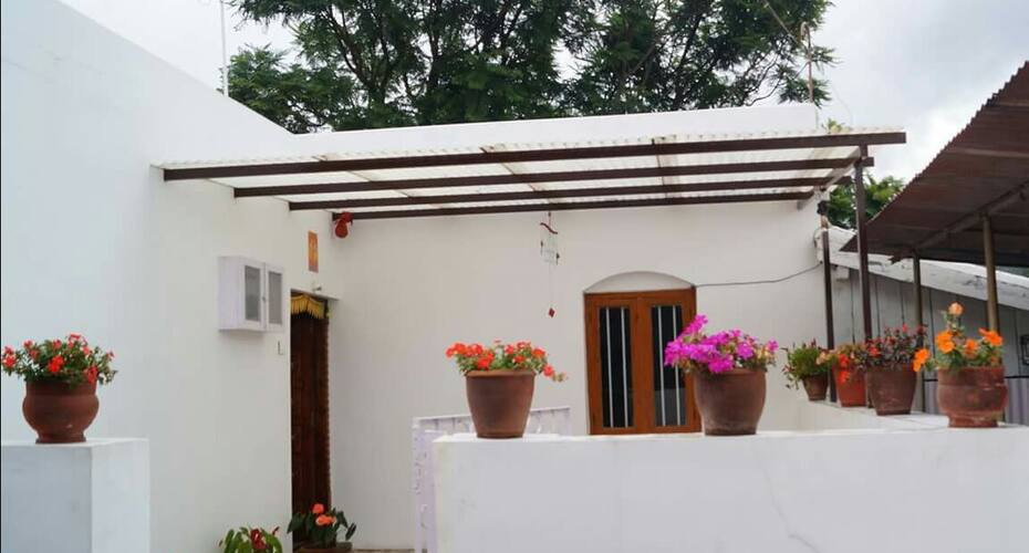 The Golden Ivy, Coonoor 2