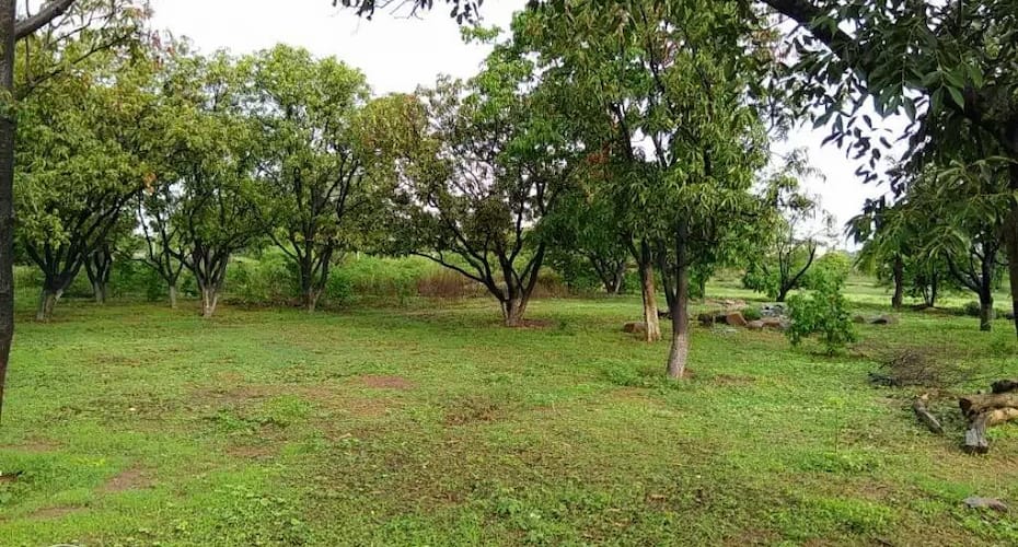Real Village Farm House, Hyderabad 4