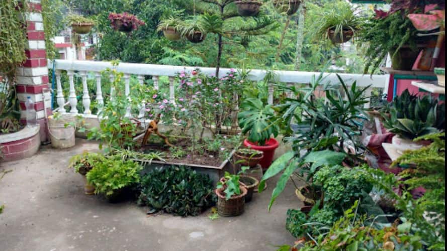 Madhumita's Homestay, Guwahati 2