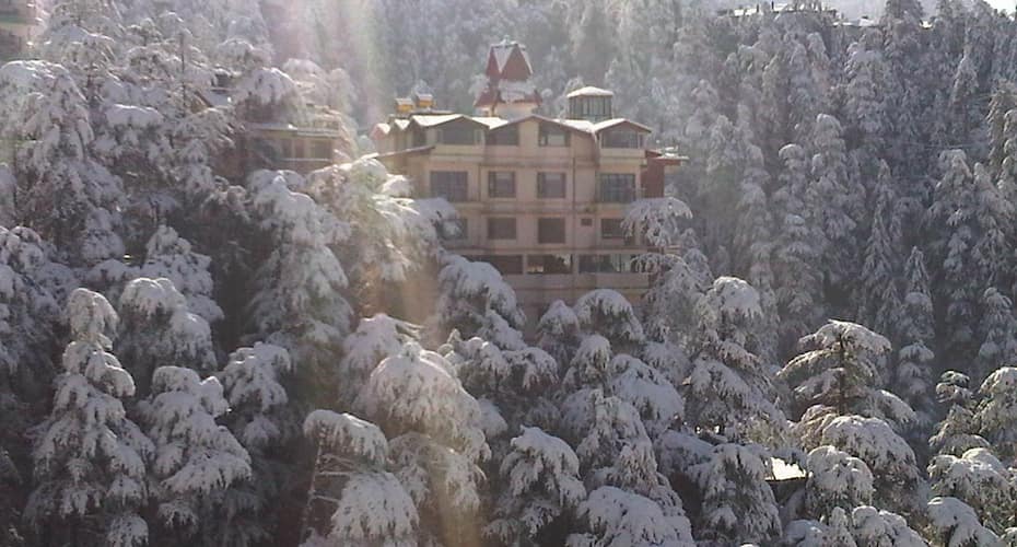 The Bodhi Tree BNB, Shimla 2