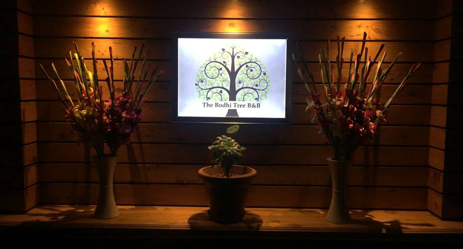 The Bodhi Tree BNB, Shimla 3