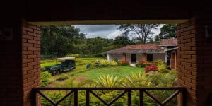 Balkatmane, Indravati Estate - A Wandertrails Showcase, Chikmaglur 4