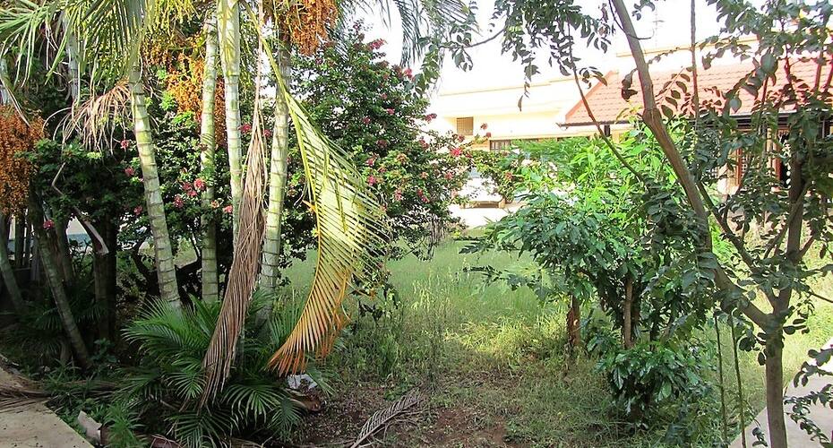 DM Villa Resort, Chikmaglur 3