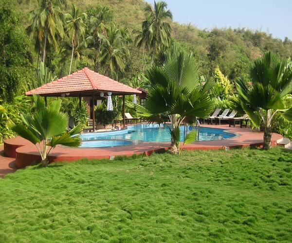 Sandalwood Gardenia Resort, Goa 3