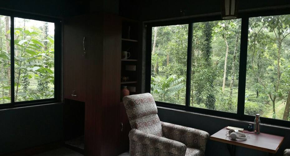 Live Amidst A Tea Garden, Jalpaiguri 3