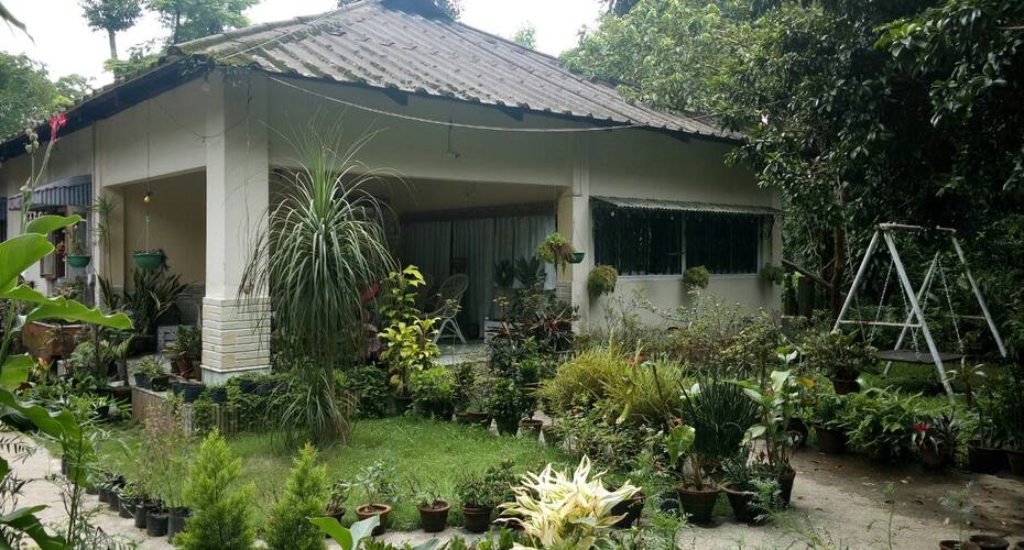 Live Amidst A Tea Garden, Jalpaiguri 1