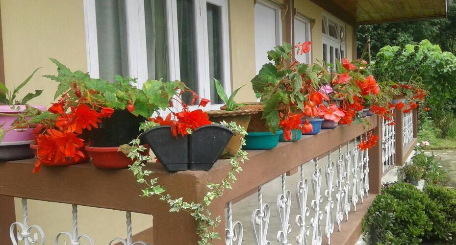 Maniram village homestay, Sikkim, Namchi 3