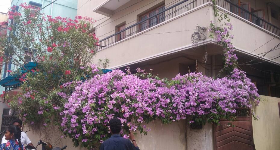 Rooms for paying guests, Hyderabad 3