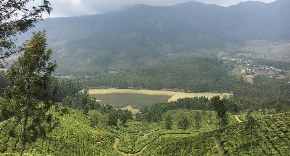 Hevin Home Stay, Munnar 2
