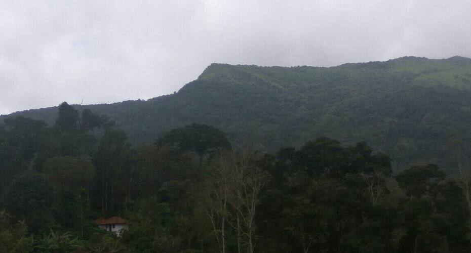 Close To Nature Stay, Madikeri 2
