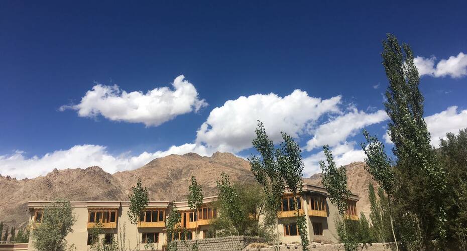 The Driftwood Ladakh, Leh 1