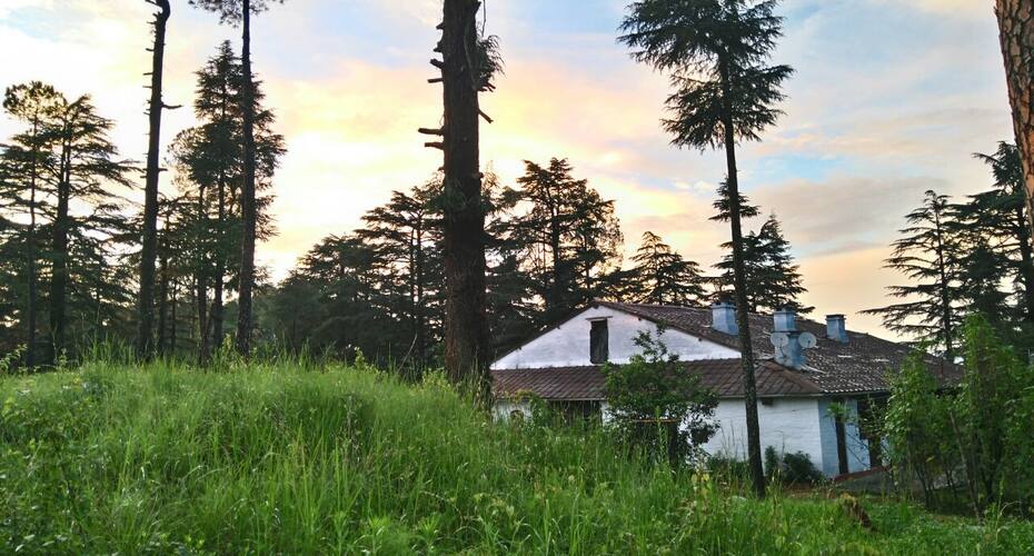 Epworth homestay, Almora 3