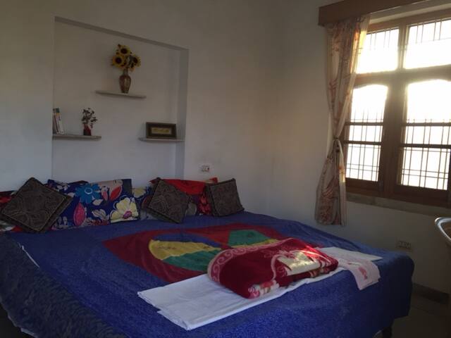The Royal Homestay, Udaipur 3