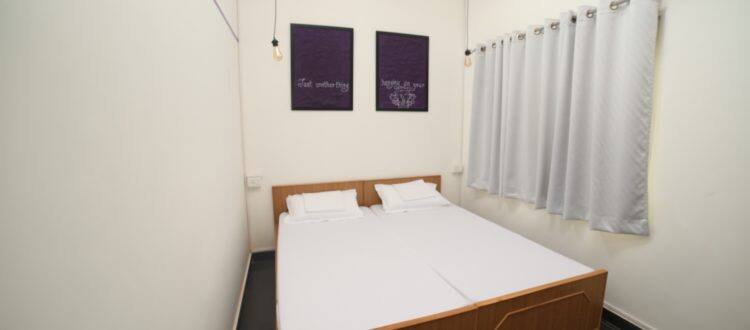 Roadhouse Hostels, Arambol, Goa 2
