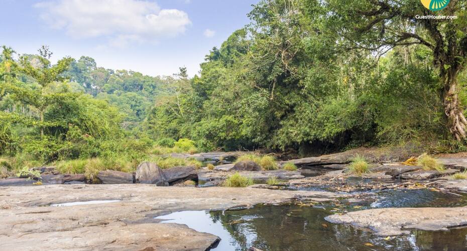 Room In A Homestay Near Chelvara Falls, Madikeri 4