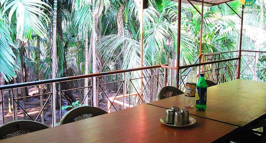 Cottage stay for 5 guests, Alibaug 4