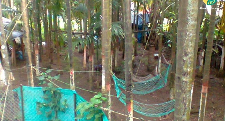 Homestay for backpackers, Alibaug 3